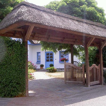 Ferienhaus Diekelmann _ Objekt 258 Diedrichshagen  Bagian luar foto